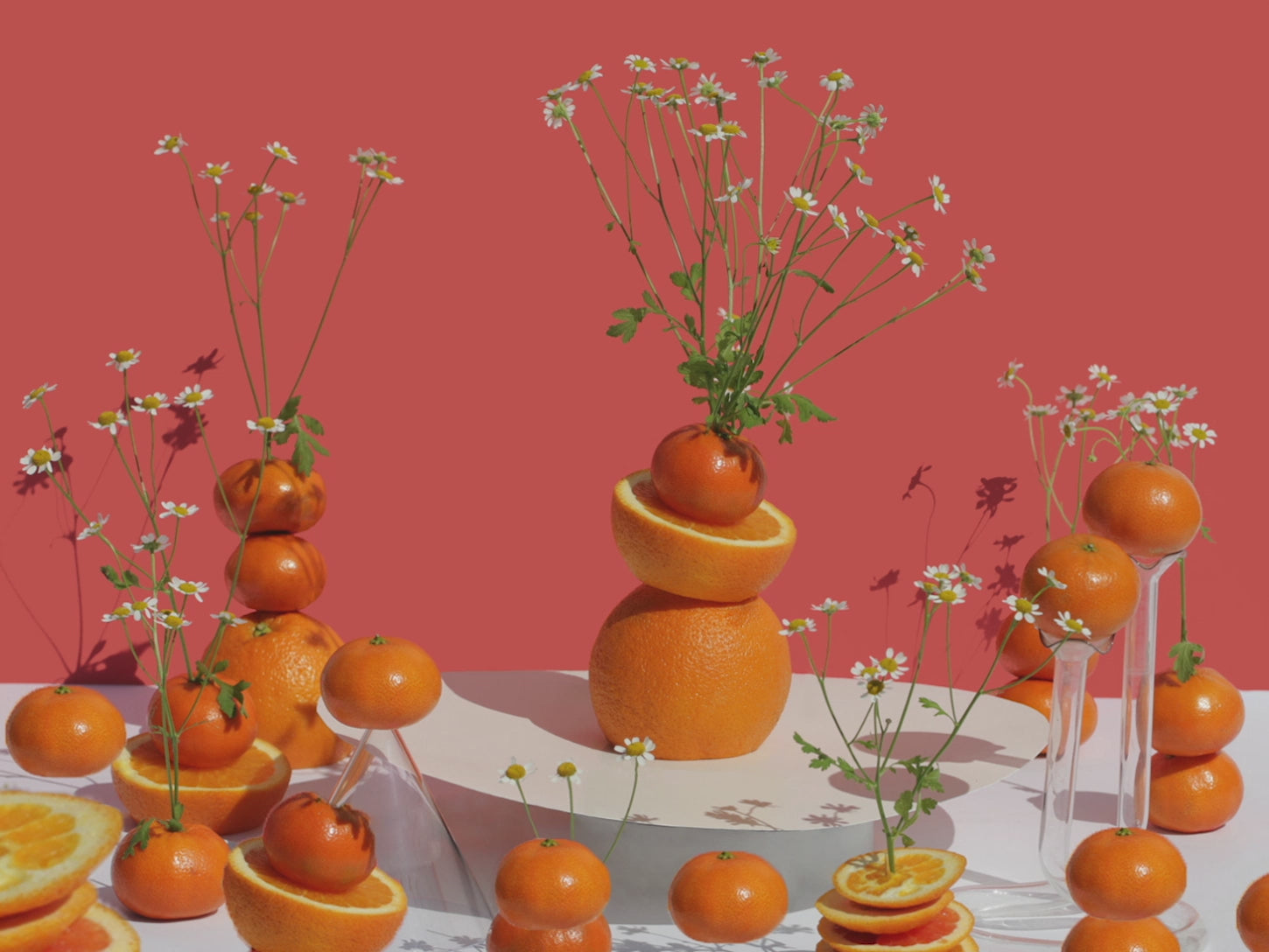 Citrus
